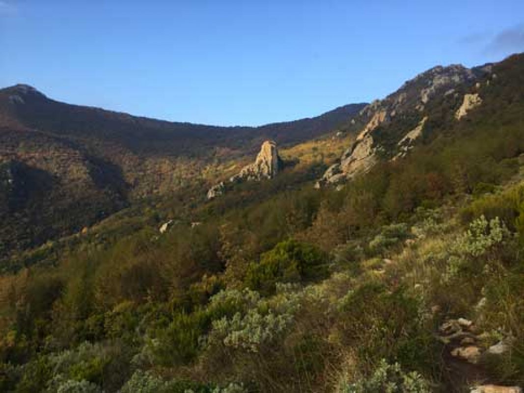 SCOGLIO DEL BUTTO CRESTA SUD EST - DEGLI SCOIATTOLI