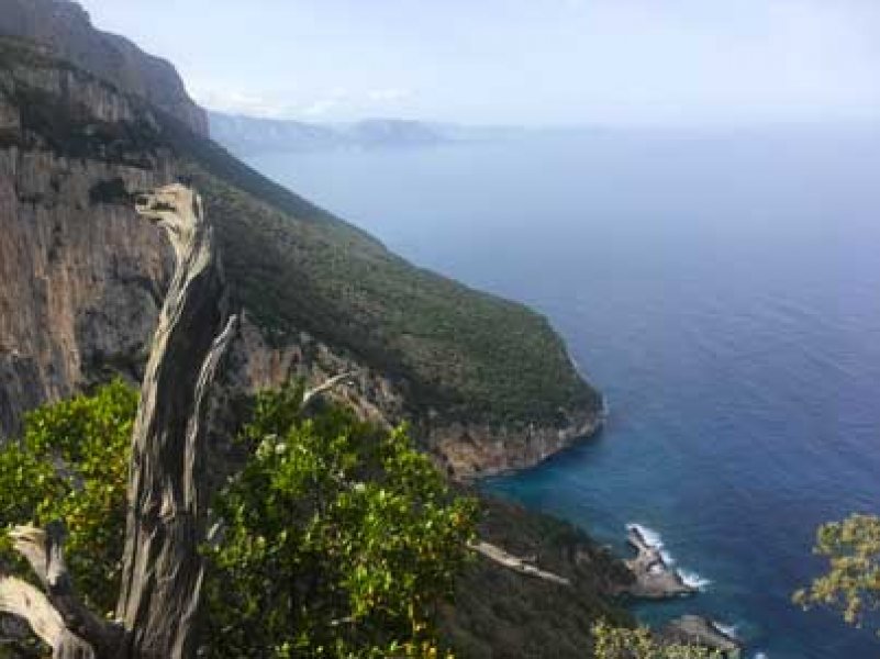 SELVAGGIO BLU - SARDEGNA